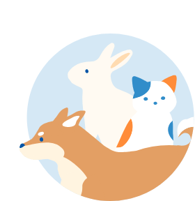 様々な種類の動物たちの診療に対応