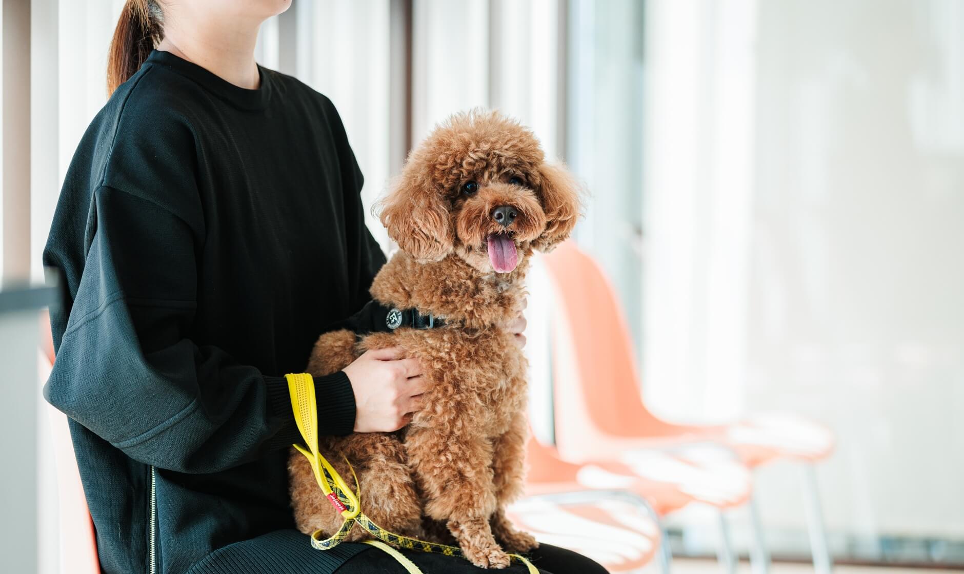 ずっと一緒に大切な家族と