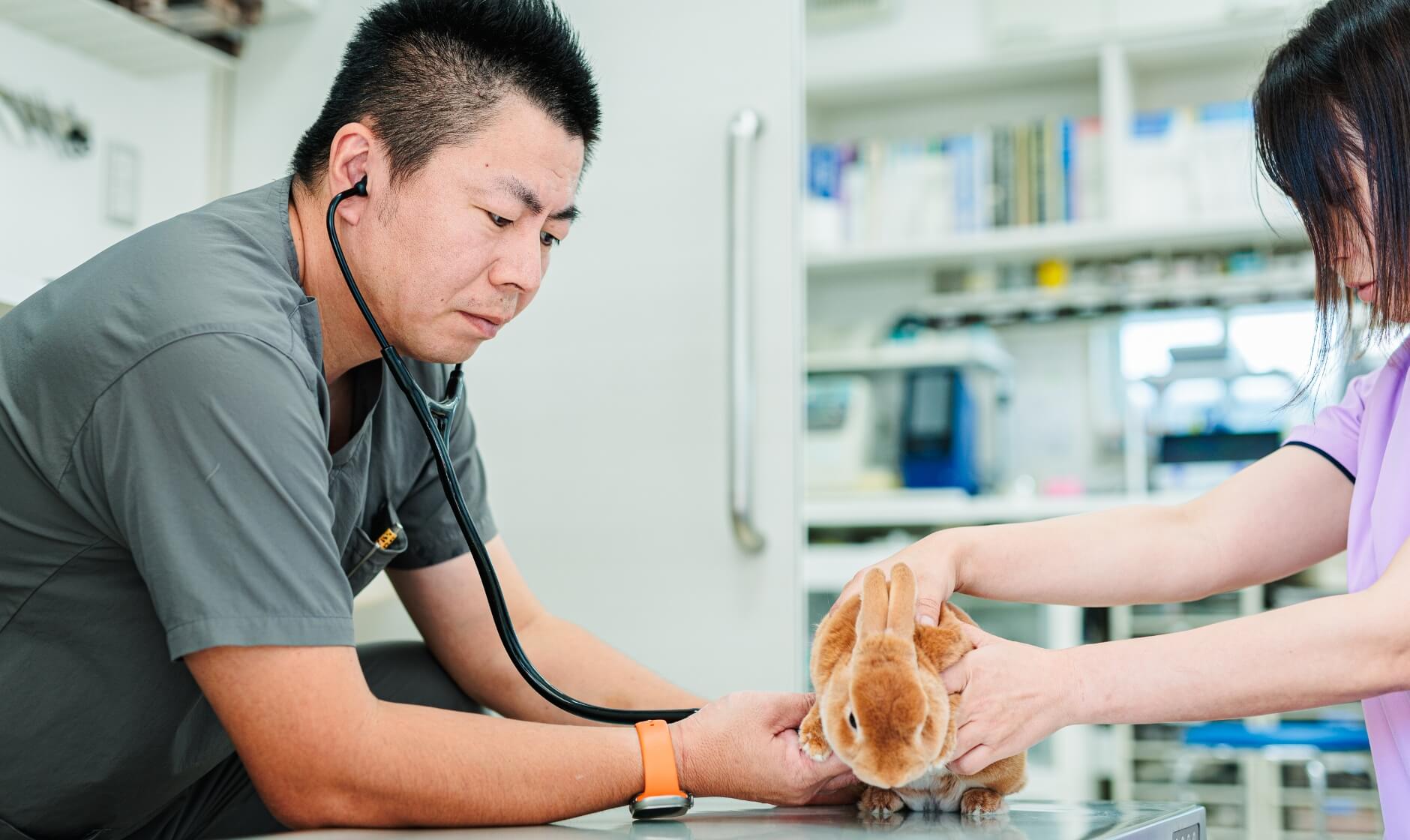 ずっと一緒に大切な家族と