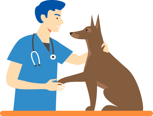 当院の診療・サービス